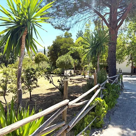 Xxv- La Cantara - La Cantara Amarilla * Ronda