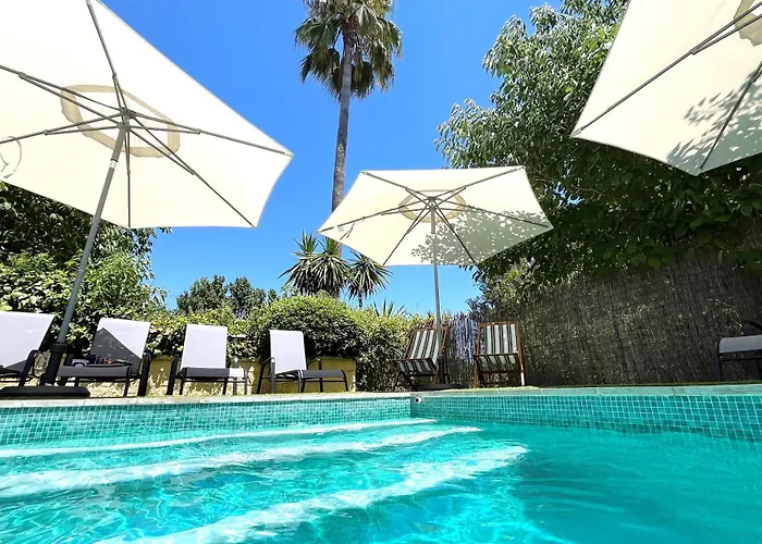 Xxv- La Cantara - La Cantara Amarilla *