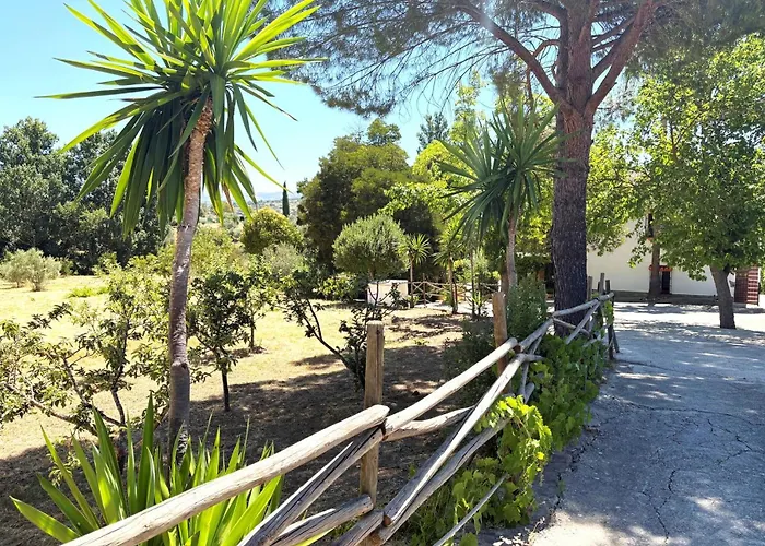 Xxv- La Cantara - La Cantara Amarilla * Ронда